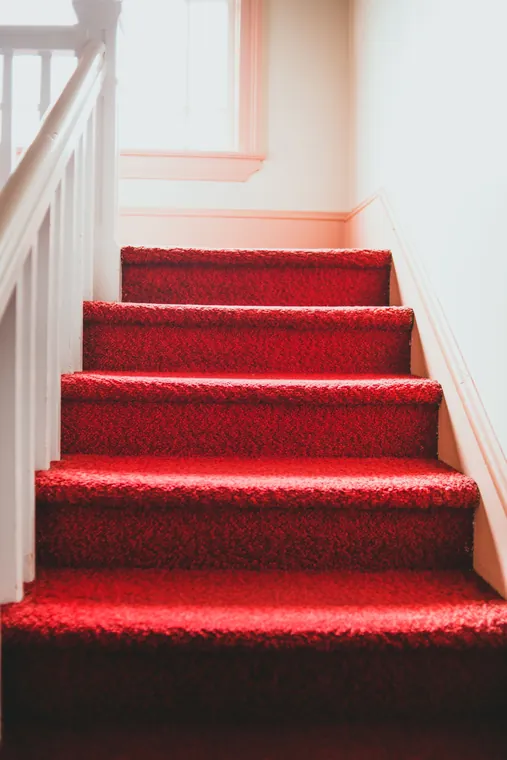 Vibrant red carpet decorates staircase bathed