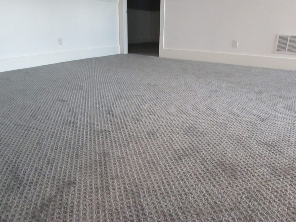 Gray Carpet